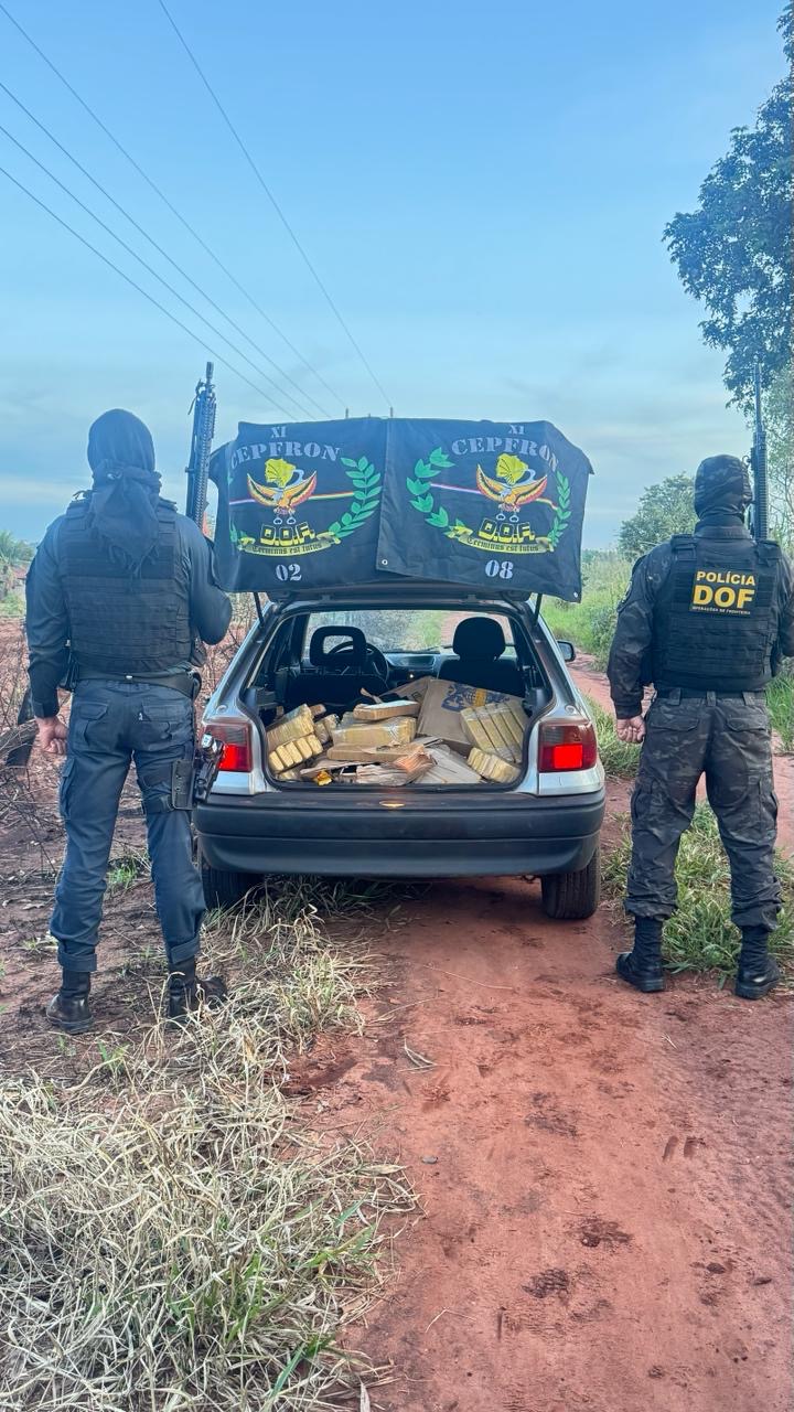 DOF apreende quase 300 quilos de maconha em Nova Andradina