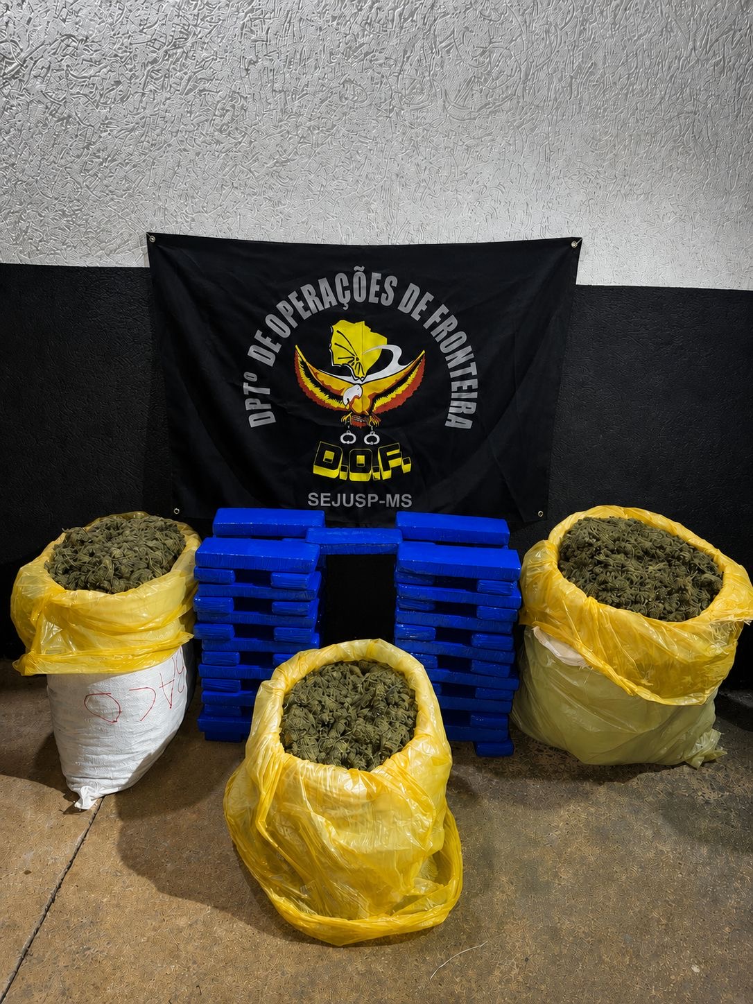DOF prende dupla com maconha e skunk após perseguição em Tacuru