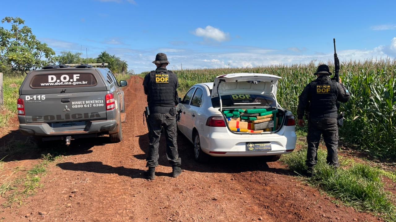 DOF apreende mais de uma tonelada de maconha em Ponta Porã